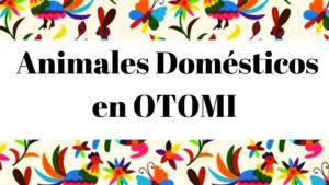 Diccionario otomi español. listado de animales domésticos