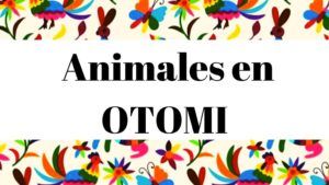 Diccionario otomi español. Listado de animales