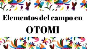Diccionario Ootmi Español Partes del campo