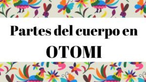 Diccionario español otomi. partes del cuerpo