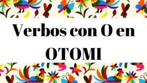 Diccionario Otomi Español Verbos con letra O