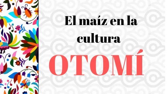 El maíz en la cultura Otomí - Vocabulario para aprender esta lengua